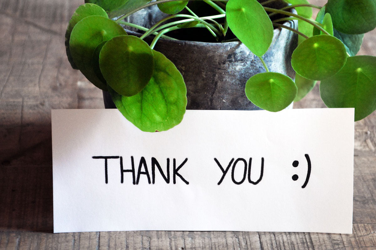 4 ways to show Gratitude this Holiday season