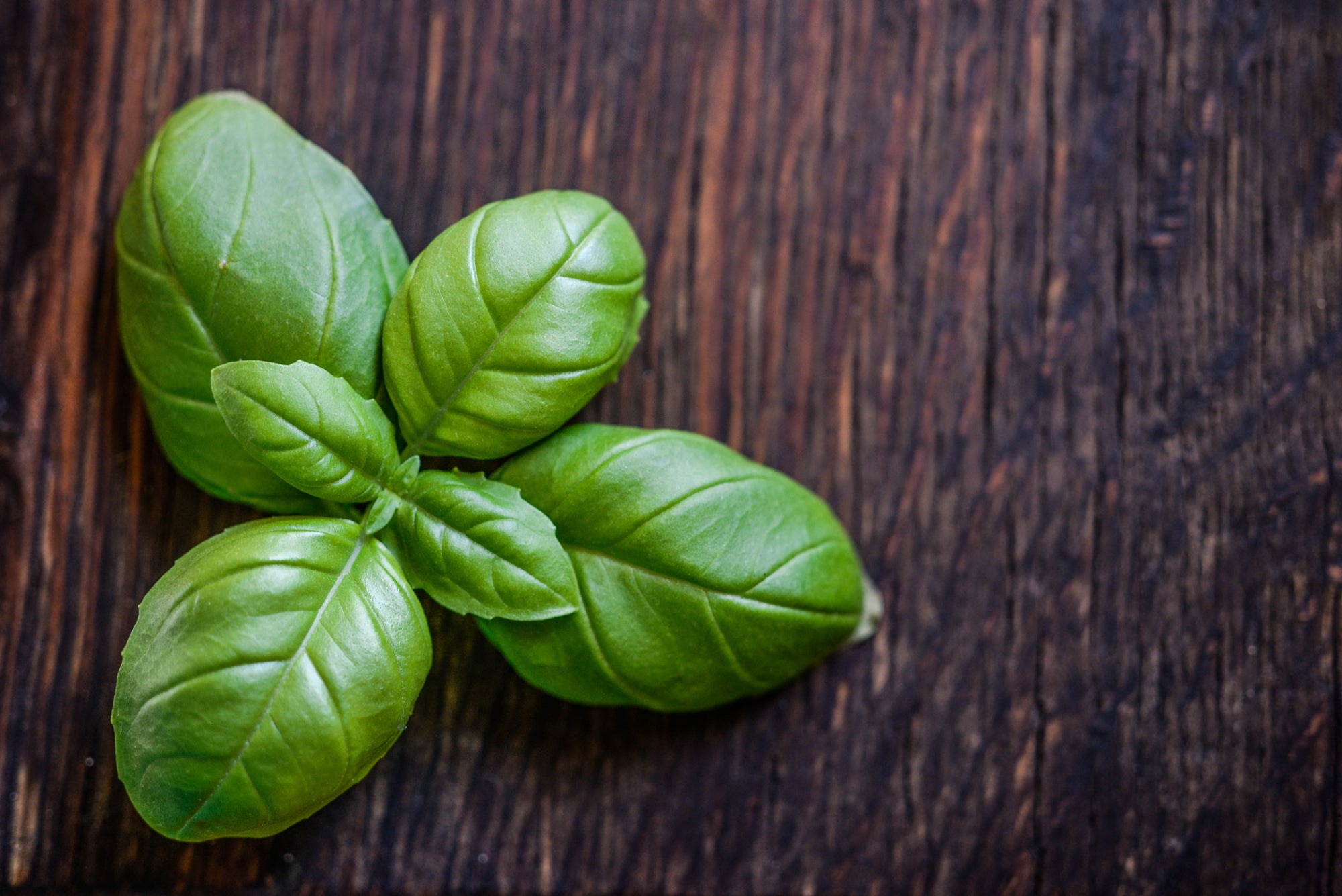 5 Best Beauty Foods for Gorgeous Hair and Glowing Skin